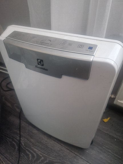 Electrolux Oxygen ilmanpuhdistin EAP300