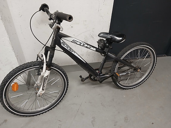 Solifer Spider 20"