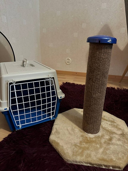 Kissan kuljetusboxi ja raapimapuu / raapimapuu setti