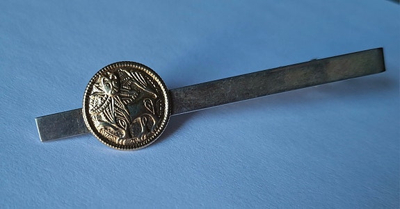 Aurinkoleijona solmionpidin