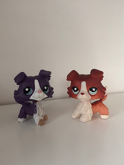 Collie LPS