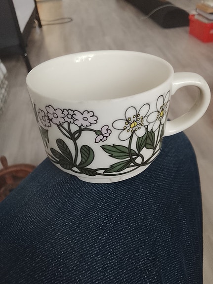 Arabia Flora