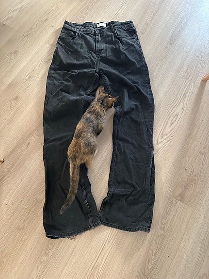 Bootcut farkut