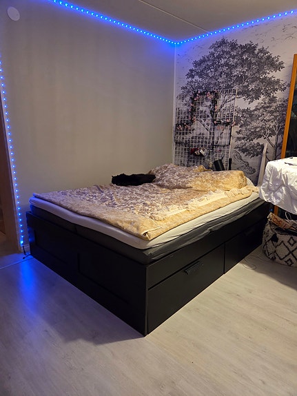 Ilmainen sänky
