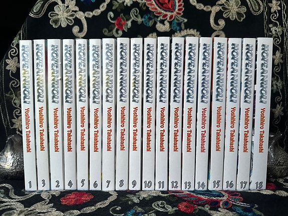 Hopeanuoli vol. 1-18 suomeksi (2010-2011)
