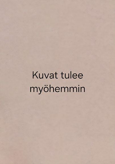 Sisarusvaunut (hyvä varaosiksi, esim. pelkkä istuin)