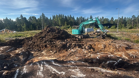 Moreenimaata ilmaiseksi