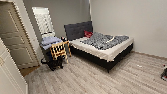 Kontintaali sänky 160cm