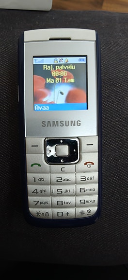 Samsung SGH B100