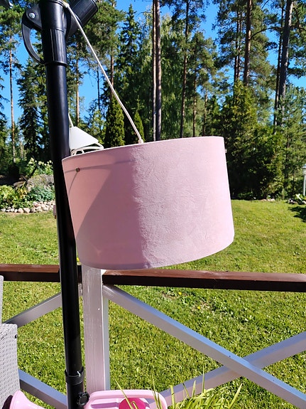 Vaaleanpunainen kattovalaisin