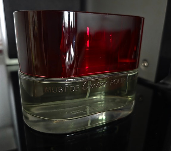 Cartier Must Pour Homme de Cartier eau de toilette 100 ml