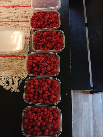 Vadelmia myytävänä