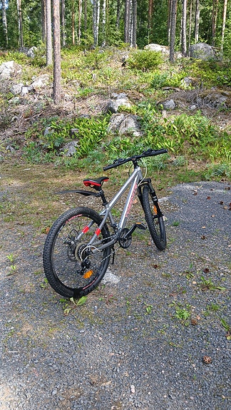 Yosemite dirt sport 24
