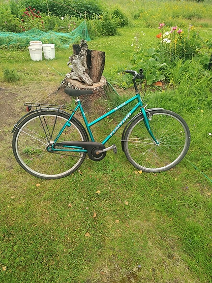 Tunturi 28