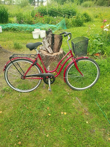 Tunturi elina 28