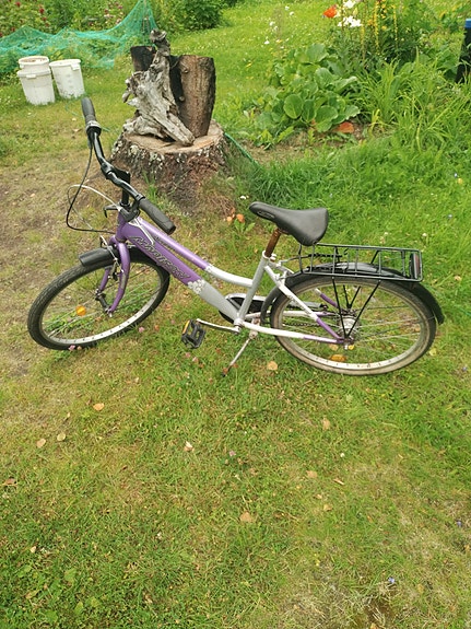 Madison 24