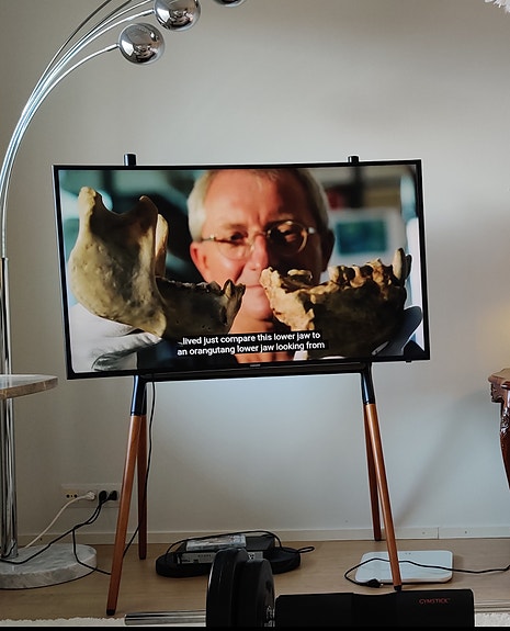 TV lattiateline, puujalat , 49-70