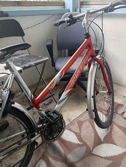 Insera Canyon Pro 26" – Hyvä ja tukeva pyörä pienellä laitolla/ fiksattavaksi!