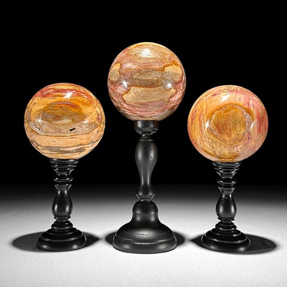 Upea kolmen petrifioituneen puun setti - Kivettynyt puu - Spheres on a custom