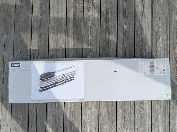 Thule chariot ski set