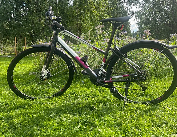 White SC Comp FF Ane 18 hybridypyörä