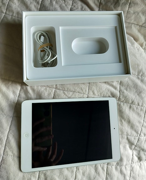 iPad Mini