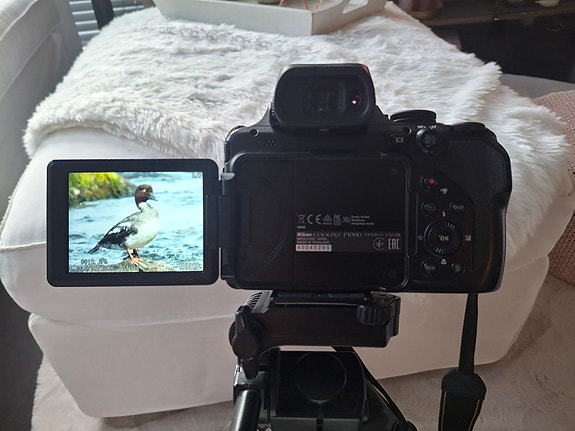 Nikon Coolpix P1000