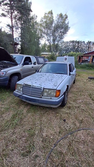 W124 200d osina