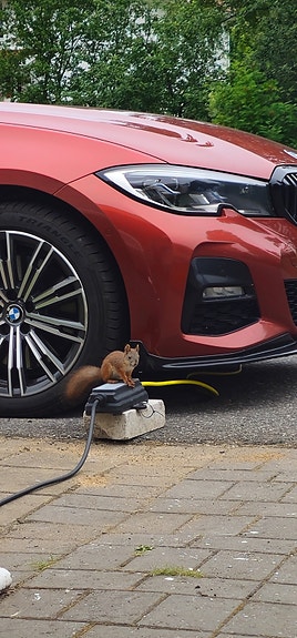bmw 330e g20  m sport vanteet