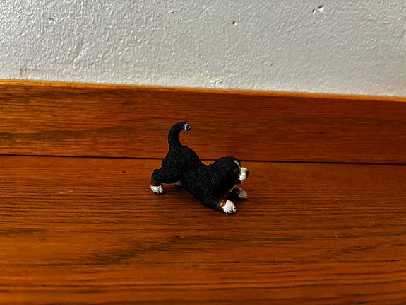 Product image 9 of 11