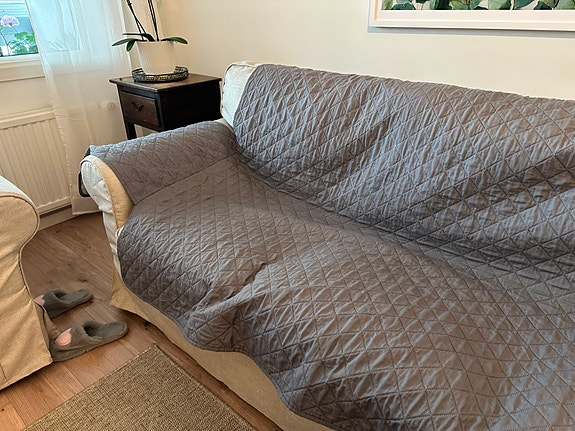 Product image 1 of 7