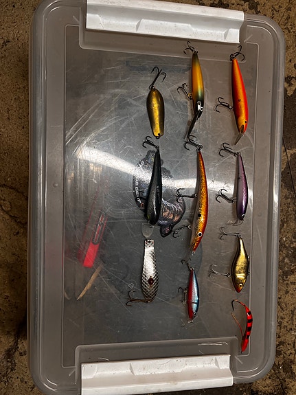Product image 2 of 8