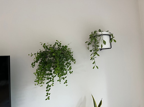 Product image 11 of 11