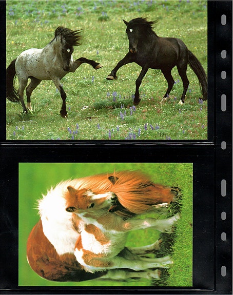 Product image 24 of 36