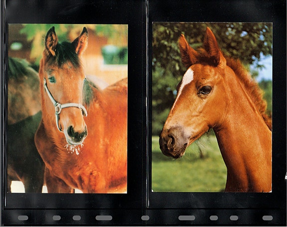 Product image 14 of 36
