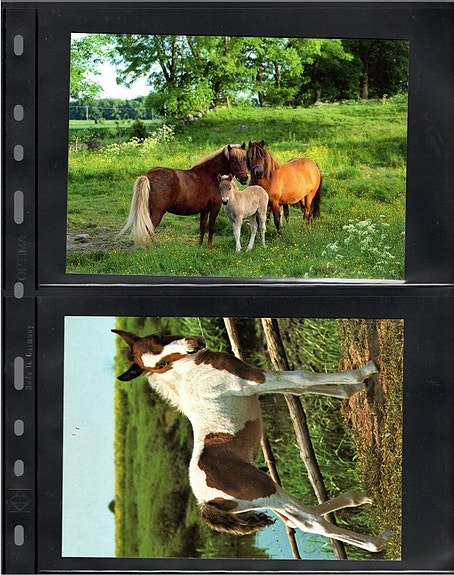 Product image 22 of 36