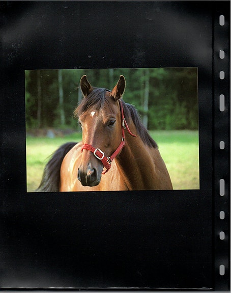 Product image 36 of 36