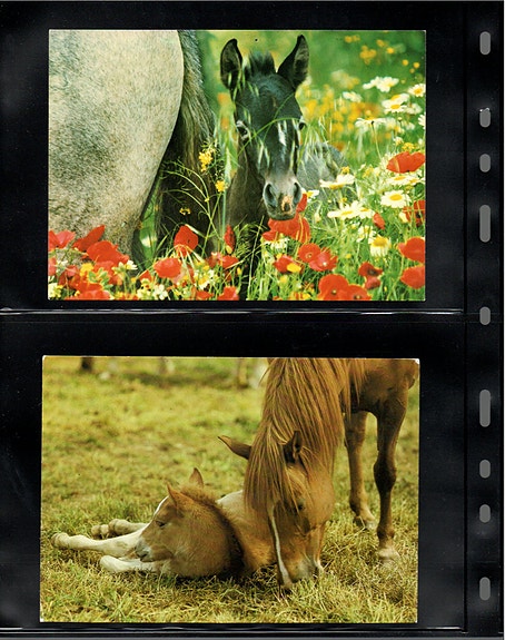 Product image 10 of 36