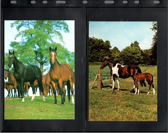 Product image 9 of 36