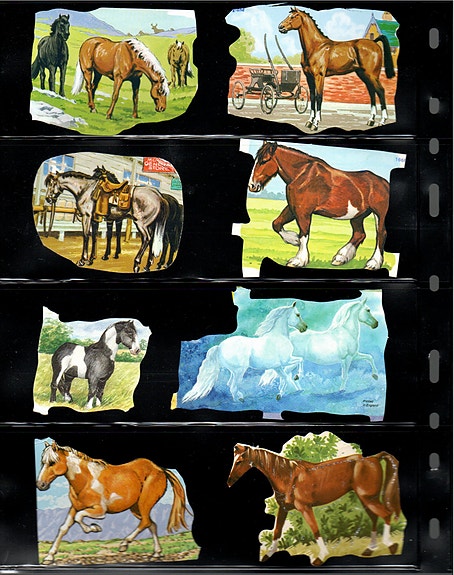 Product image 5 of 12