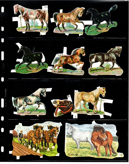 Product image 9 of 12