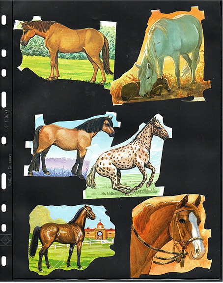 Product image 10 of 12