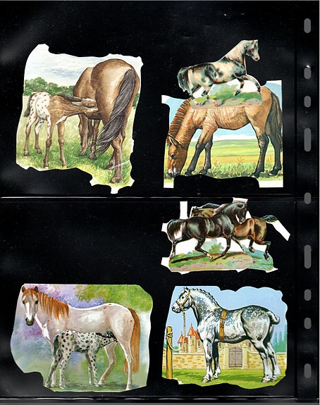 Product image 3 of 12