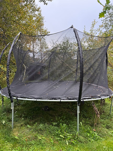 Product image 1 of 10