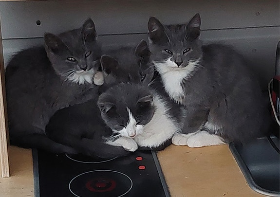 Product image 1 of 7
