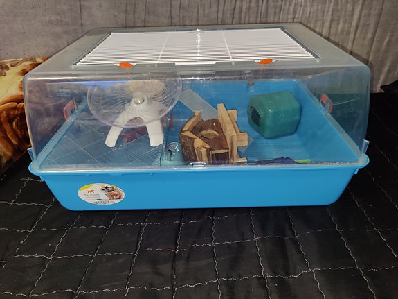 Product image 1 of 10