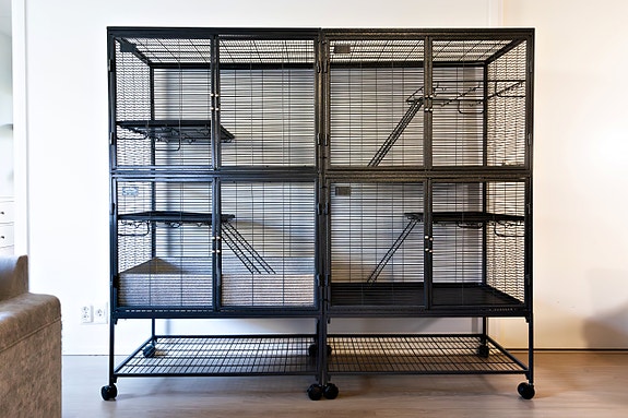 Product image 1 of 9