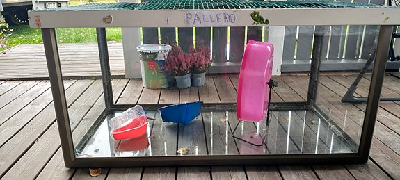 Product image 1 of 6