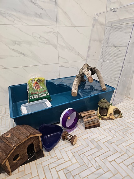 Product image 1 of 10