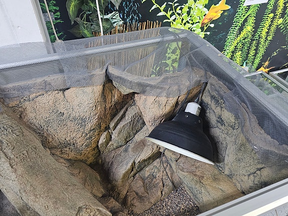 Product image 15 of 15